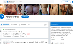 Reddit Amateur