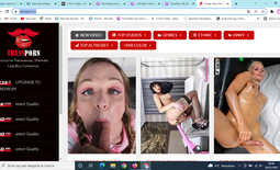 Trans Porn